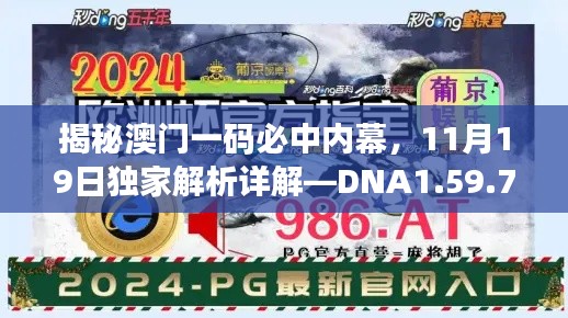 揭秘澳门一码必中内幕，11月19日独家解析详解—DNA1.59.73星耀版