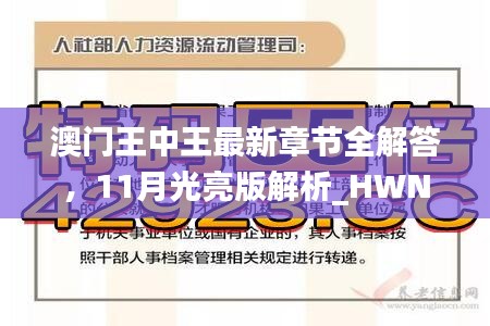 澳门王中王最新章节全解答，11月光亮版解析_HWN8.63.85迅捷版