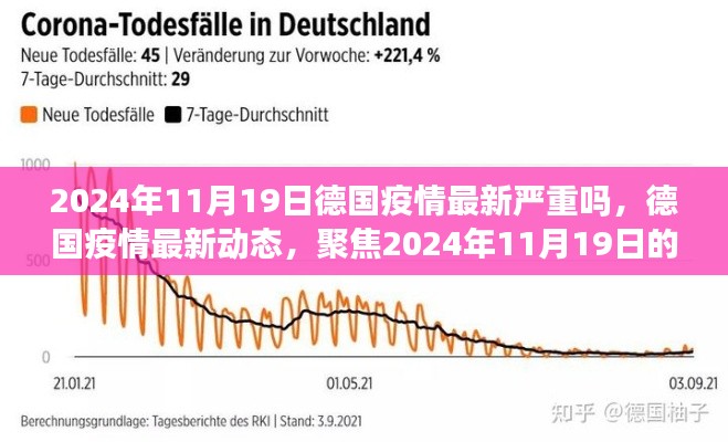 2024年11月19日德国疫情最新动态及状况分析