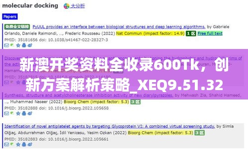 新澳开奖资料全收录600Tk，创新方案解析策略_XEQ9.51.32互动版