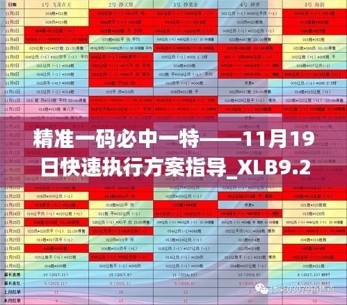 精准一码必中一特——11月19日快速执行方案指导_XLB9.22.72极速版