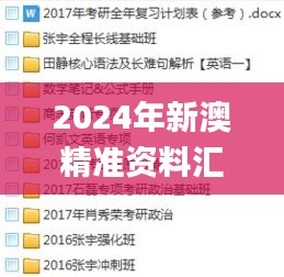 2024年新澳精准资料汇总及11月19日目标解析计划_AHM4.26.92配送版