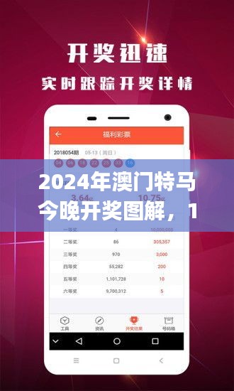 2024年澳门特马今晚开奖图解，11月19日详细解读与实施_WSU4.46.69经济版