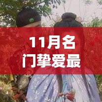 名门挚爱新品评测，全面介绍与深度体验（11月最新）