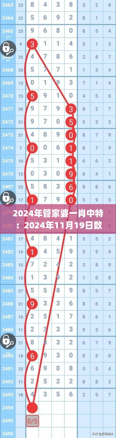 2024年管家婆一肖中特：2024年11月19日数据实地考察分析_FVF6.28.21预备版