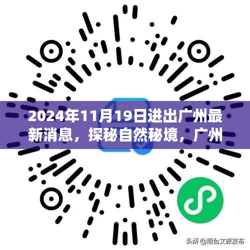 探秘自然秘境，广州之行，寻找内心的宁静与微笑——最新进出广州消息（2024年11月）