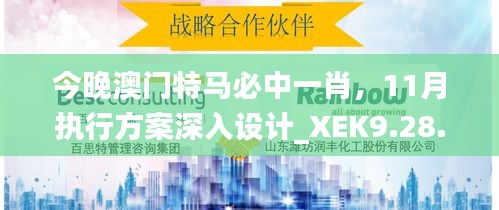 今晚澳门特马必中一肖，11月执行方案深入设计_XEK9.28.99个人版