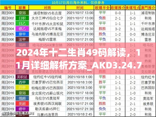 2024年十二生肖49码解读，11月详细解析方案_AKD3.24.78安全版本