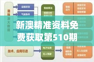 新澳精准资料免费获取第510期，设计与规划引导方式_YPE7.12.95分析版