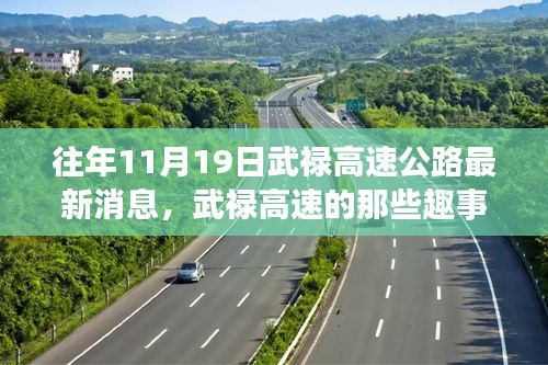 武禄高速公路十一月十九日最新消息与温馨回忆趣事分享