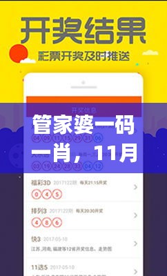 管家婆一码一肖，11月19日灵活策略适配探讨_VAX6.64.22简版