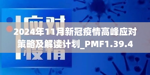 2024年11月新冠疫情高峰应对策略及解读计划_PMF1.39.41网红版