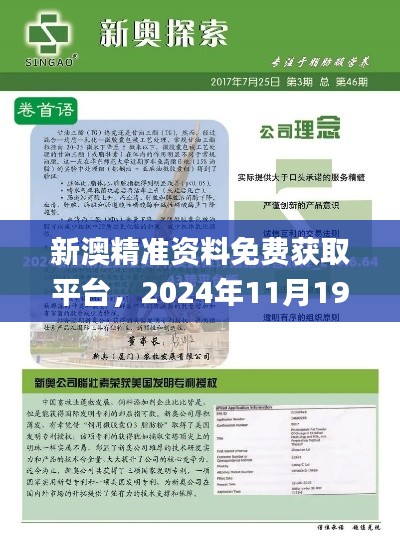 新澳精准资料免费获取平台，2024年11月19日实用解答实施进程_DRD1.15.52防护版