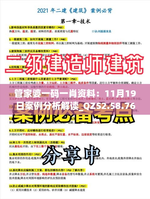 管家婆一码一肖资料：11月19日案例分析解读_QZS2.58.76传达版