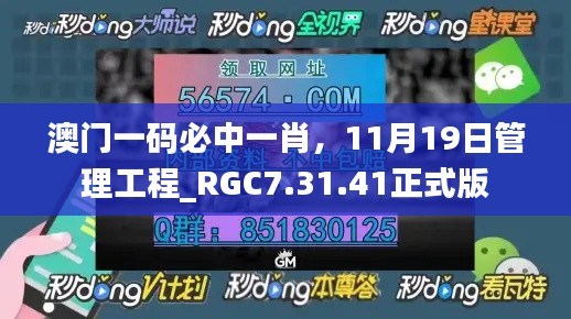 澳门一码必中一肖，11月19日管理工程_RGC7.31.41正式版