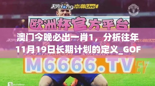 澳门今晚必出一肖1，分析往年11月19日长期计划的定义_GOF1.57.49媒体版