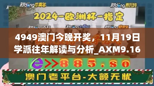 4949澳门今晚开奖，11月19日学派往年解读与分析_AXM9.16.54沉浸版