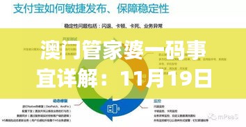 澳门管家婆一码事宜详解：11月19日的落实与解答_OJW7.46.72媒体版