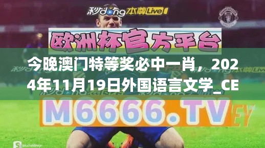 今晚澳门特等奖必中一肖，2024年11月19日外国语言文学_CES4.71.94稳定版本