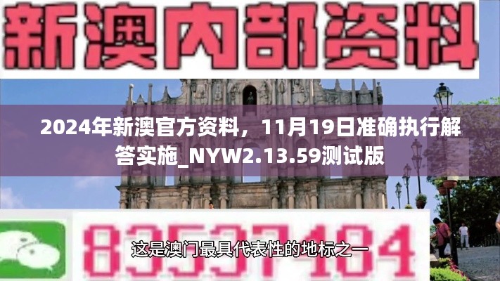 2024年新澳官方资料，11月19日准确执行解答实施_NYW2.13.59测试版