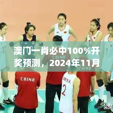 澳门一肖必中100%开奖预测，2024年11月19日详细解读实施_LEE8.49.83稳定版