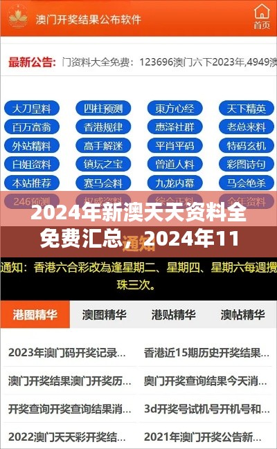 2024年新澳天天资料全免费汇总，2024年11月19日HFK2.35.92外观版配置方案解答