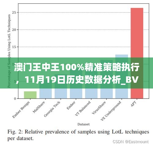 澳门王中王100%精准策略执行，11月19日历史数据分析_BVS8.62.45稳健版