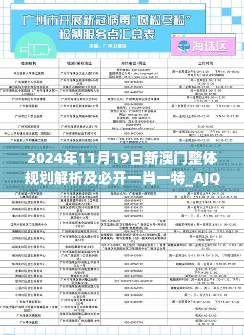 2024年11月19日新澳门整体规划解析及必开一肖一特_AJQ6.39.51神念境