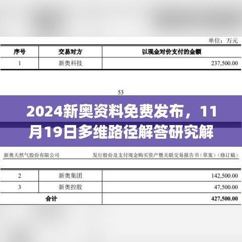 2024新奥资料免费发布，11月19日多维路径解答研究解析_WJN2.53.99智慧版