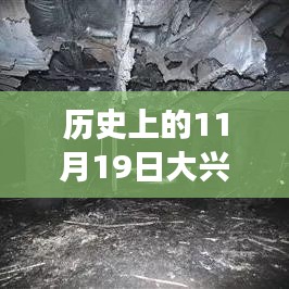 探秘大兴火灾背后的重生故事，特色小店与历史的交汇点（历史上的11月19日最新消息）