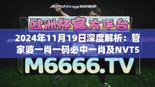 2024年11月19日深度解析：管家婆一肖一码必中一肖及NVT5.35.42黑科技版疑问解答