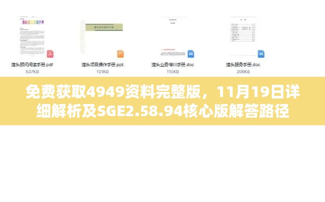 免费获取4949资料完整版，11月19日详细解析及SGE2.58.94核心版解答路径