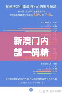 新澳门内部一码精准公开，11月实地评估数据执行 NVR 5.23.28 升级版