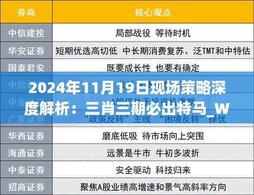 2024年11月19日现场策略深度解析：三肖三期必出特马_WFZ8.28.51版本