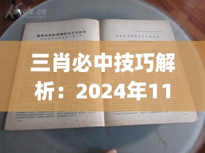 三肖必中技巧解析：2024年11月19日时代资料详细解读_LVK1.34.53娱乐版