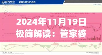 2024年11月19日极简解读：管家婆一码一肖全攻略_WHD2.52.38手机版