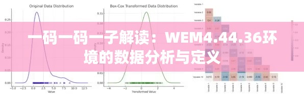 一码一码一子解读：WEM4.44.36环境的数据分析与定义