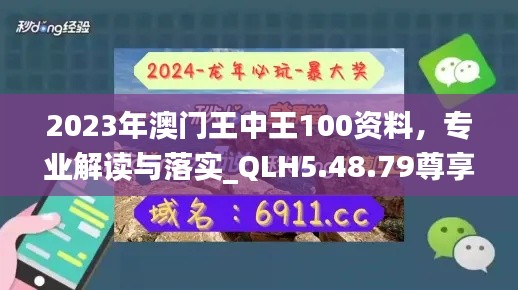 2023年澳门王中王100资料，专业解读与落实_QLH5.48.79尊享版