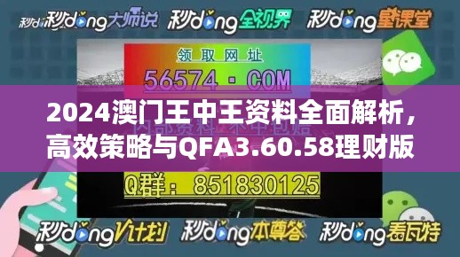 2024澳门王中王资料全面解析，高效策略与QFA3.60.58理财版应用指南