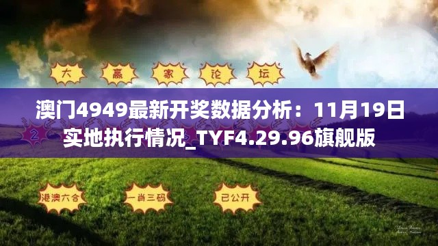 澳门4949最新开奖数据分析：11月19日实地执行情况_TYF4.29.96旗舰版