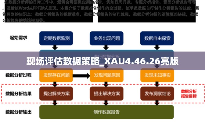 现场评估数据策略_XAU4.46.26亮版