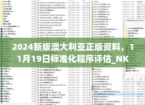 2024新版澳大利亚正版资料，11月19日标准化程序评估_NKJ1.10.75设计师版