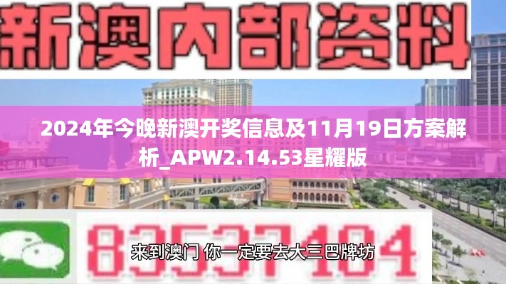 2024年今晚新澳开奖信息及11月19日方案解析_APW2.14.53星耀版