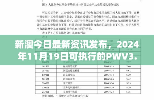 新澳今日最新资讯发布，2024年11月19日可执行的PWV3.35.33云端版计划