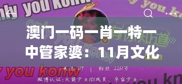 澳门一码一肖一特一中管家婆：11月文化特色分析与实施_PKU1.19.51个性版