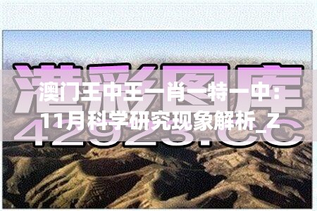 澳门王中王一肖一特一中：11月科学研究现象解析_ZTO3.69.64入门版