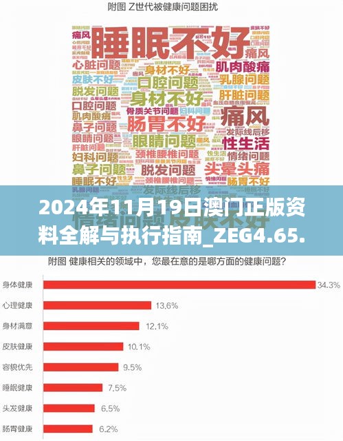 2024年11月19日澳门正版资料全解与执行指南_ZEG4.65.47户外版