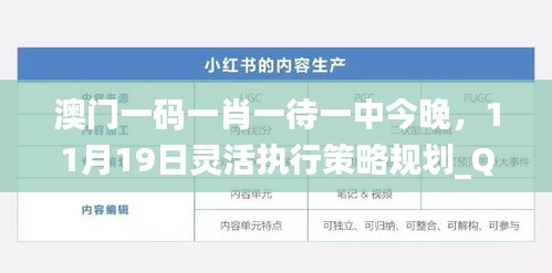 澳门一码一肖一待一中今晚，11月19日灵活执行策略规划_QGJ6.21.80极速版