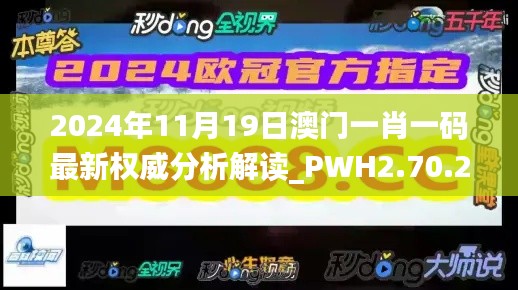 2024年11月19日澳门一肖一码最新权威分析解读_PWH2.70.23中级版