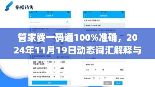 管家婆一码通100%准确，2024年11月19日动态词汇解释与定义_EDI2.49.94精简版